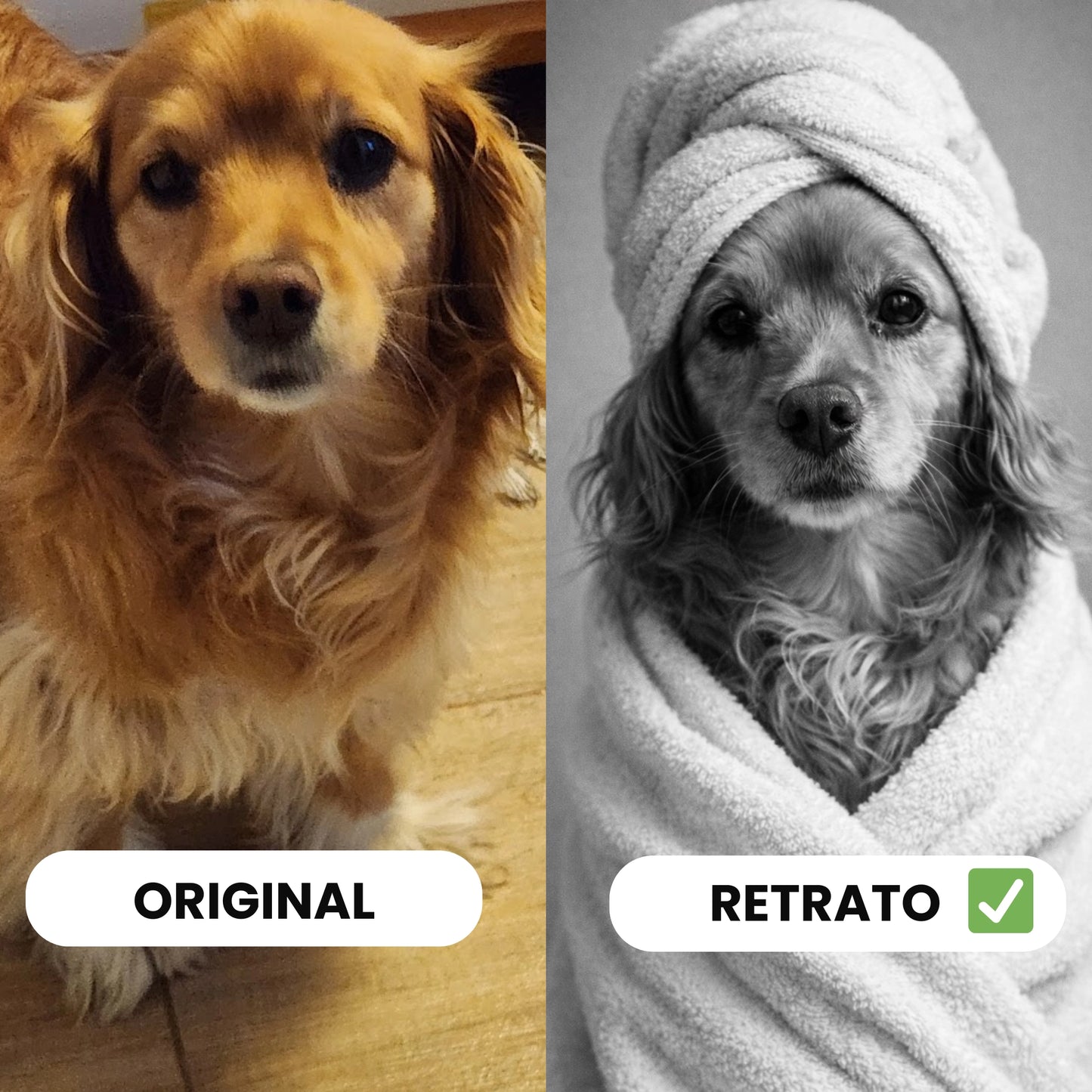 Retrato Personalizado de Mascota — Patito Clásico