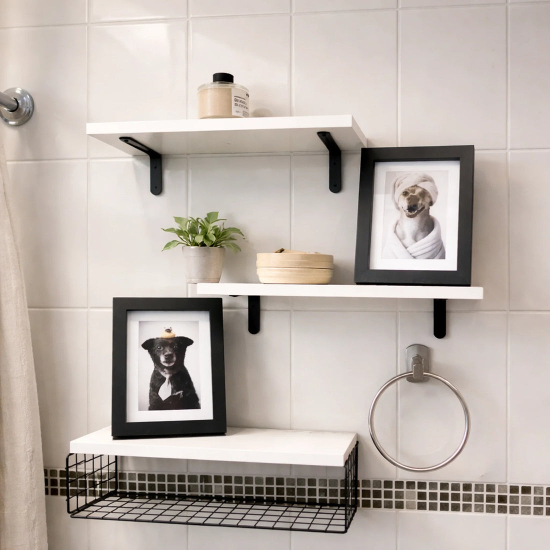 Cuadros personalizados de mascotas sobre repisas de un baño