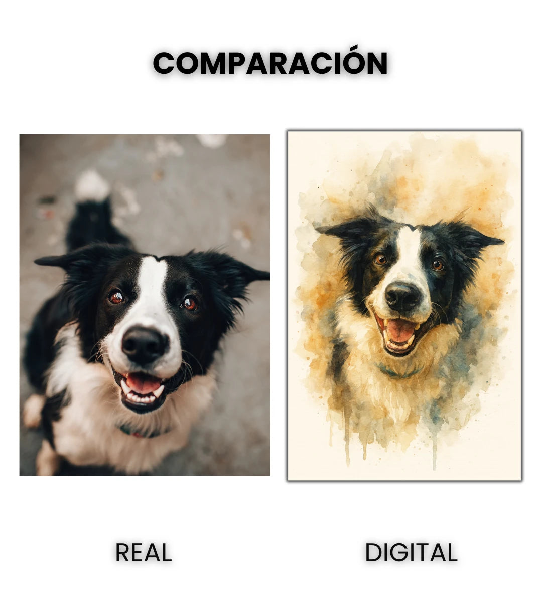 Retrato Digital de Mascota Estilo Acuarela