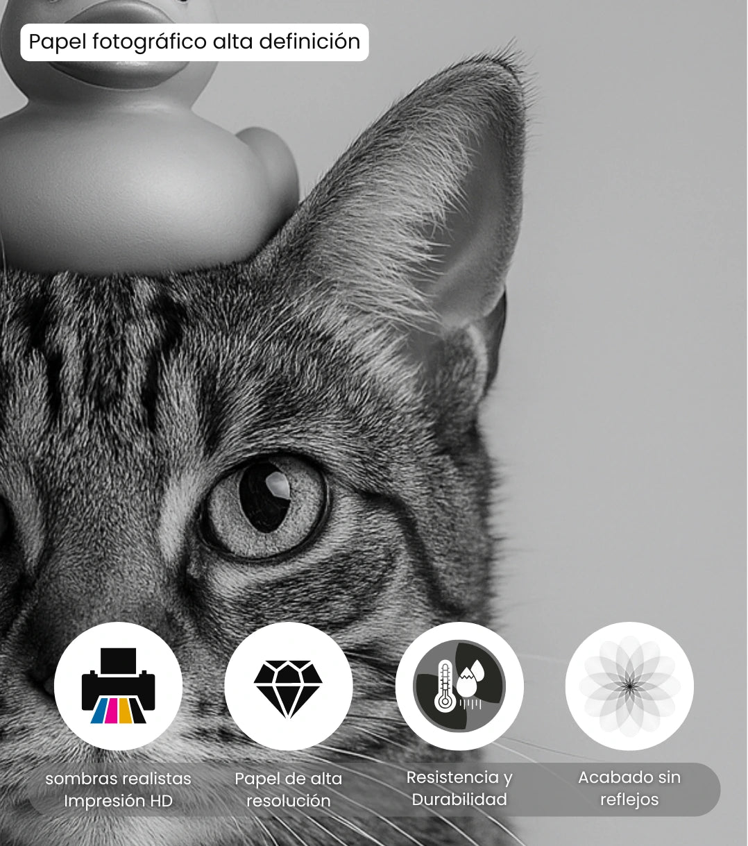 Retrato Enmarcado Mascota Decorativo para Baño – Toalla o Patito de Hule