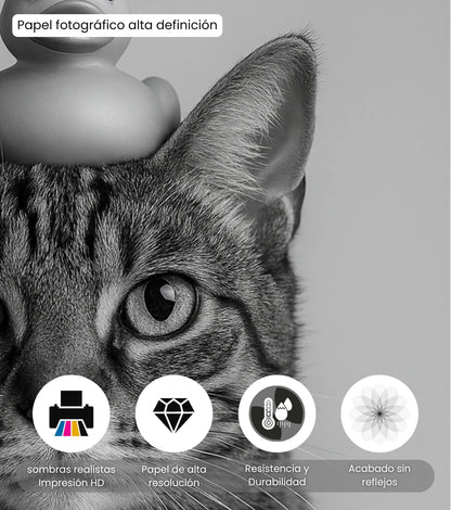 Retrato Enmarcado Mascota Decorativo para Baño – Toalla o Patito de Hule