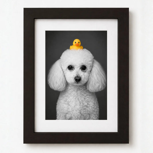 Cuadro Mascota Patito Clásico Personalizado