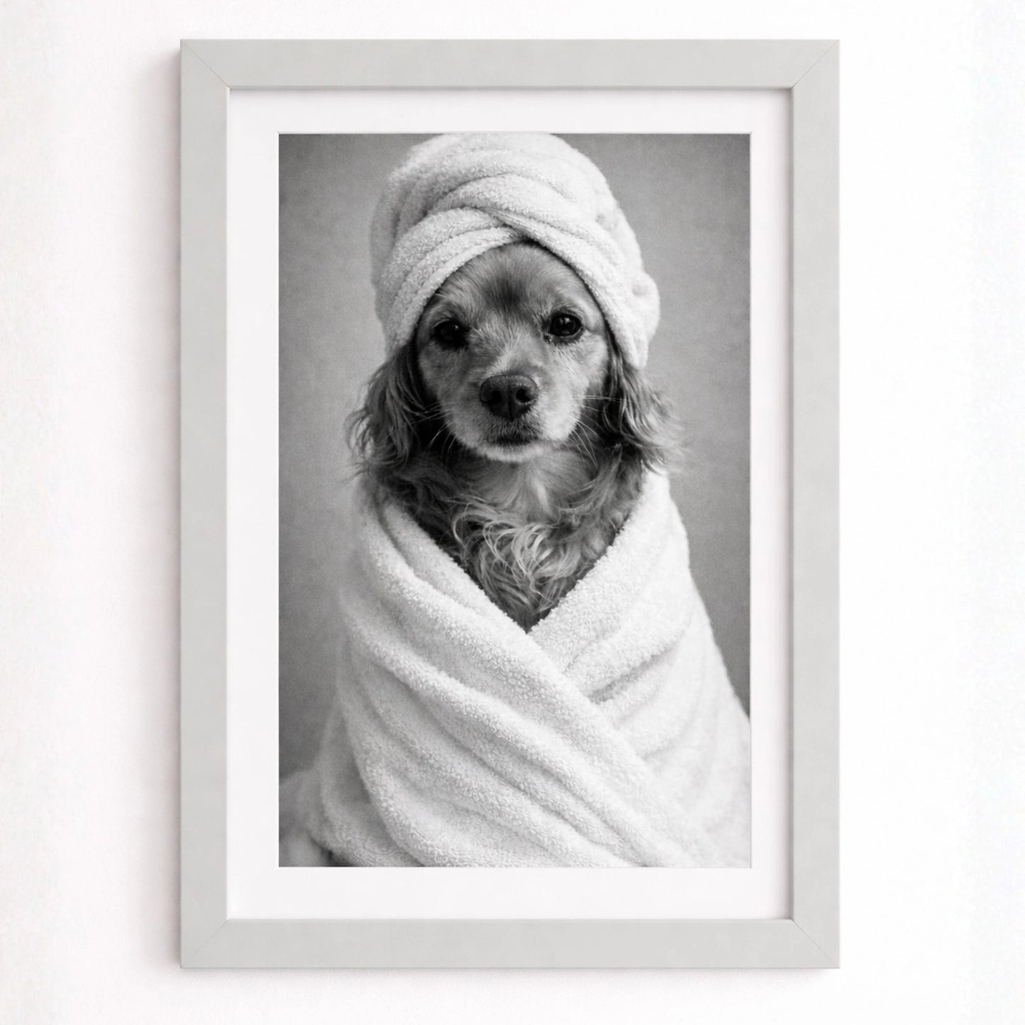 Cuadro Mascota Estilo Spa Personalizado