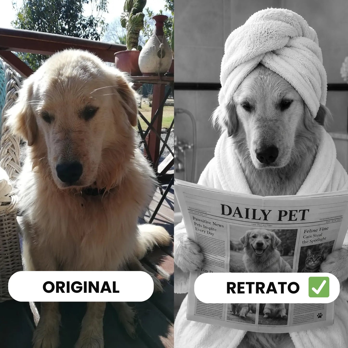 Cuadro Mascota Lectura Diario Personalizado