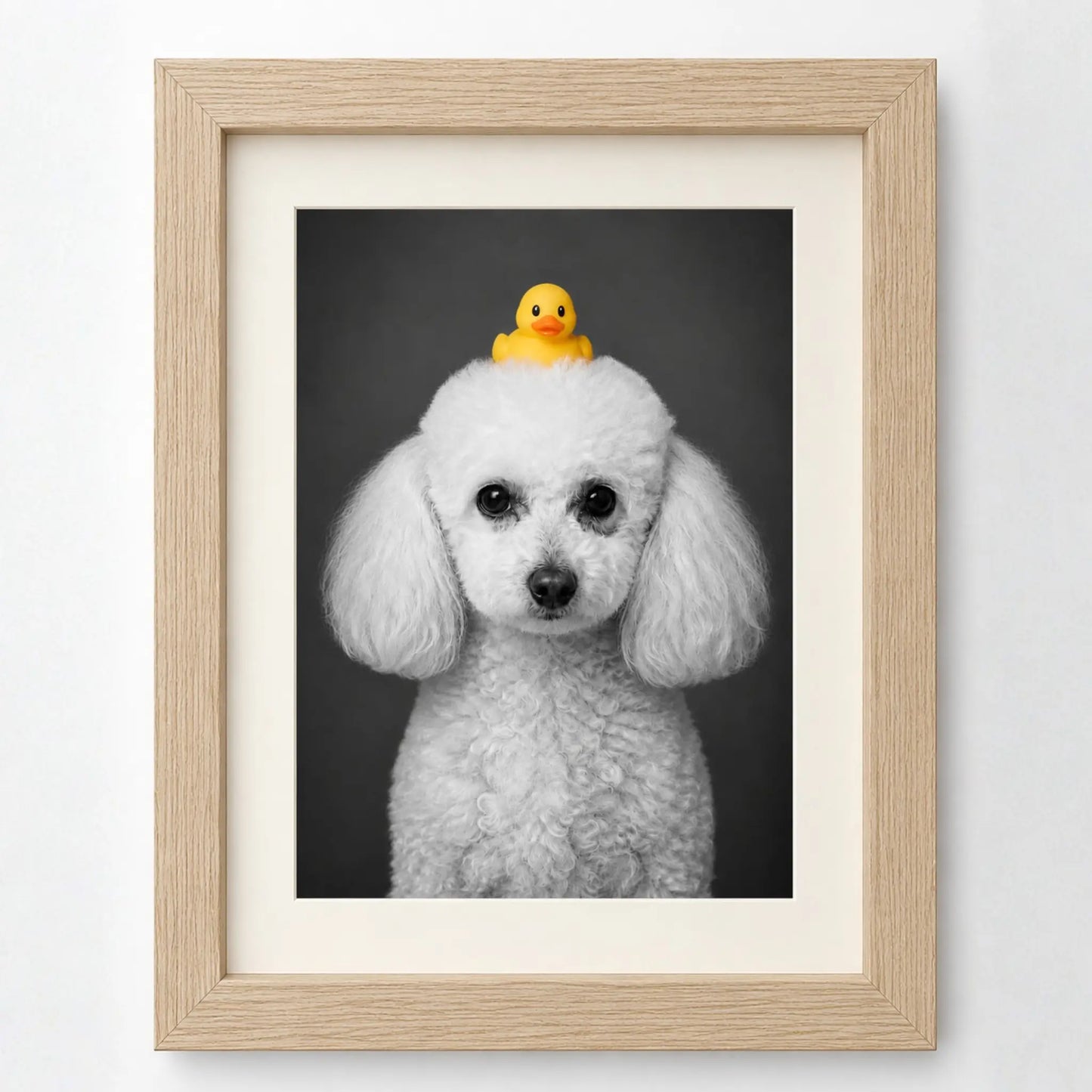 Cuadro Mascota Patito Clásico Personalizado