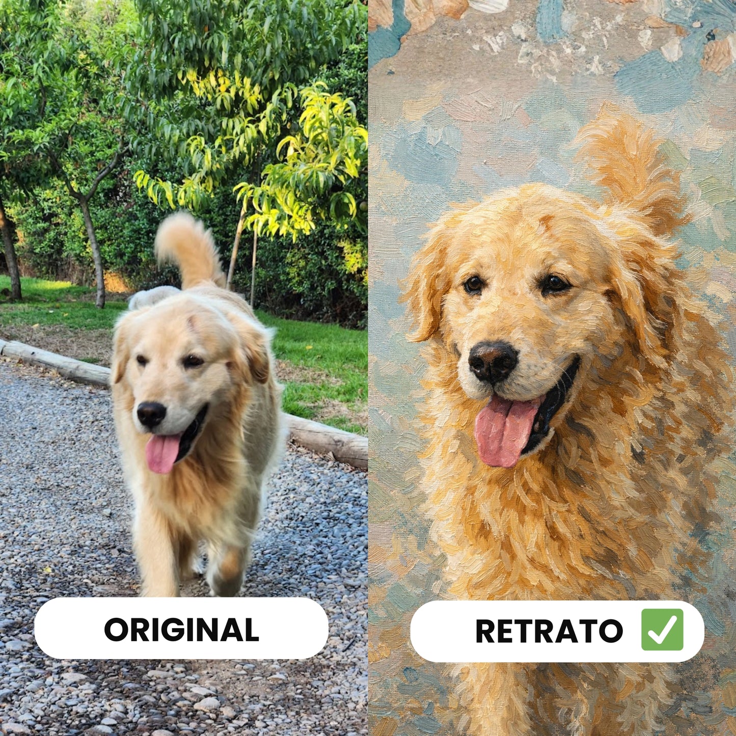 Cuadro Personalizado de Mascota Óleo