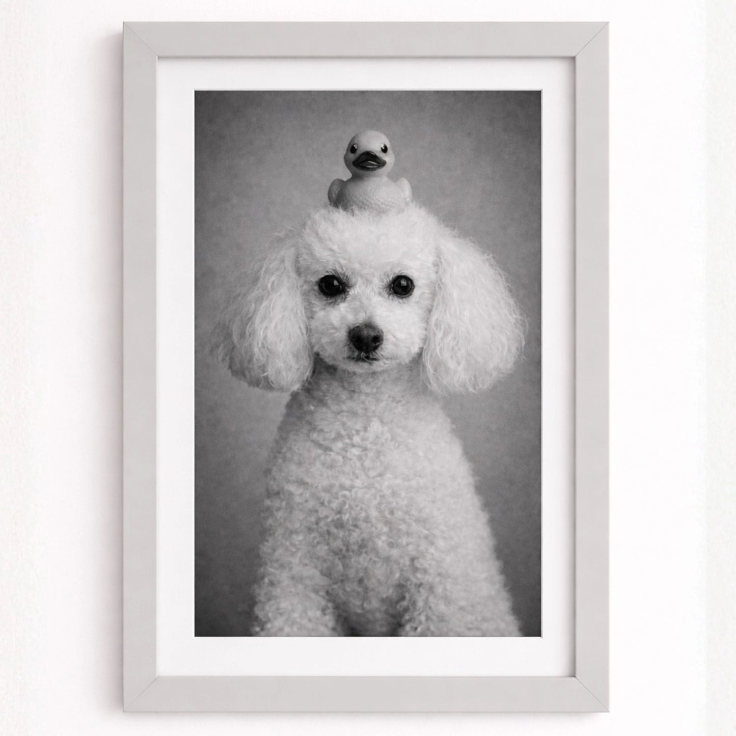 Cuadro Mascota Estilo Spa Personalizado