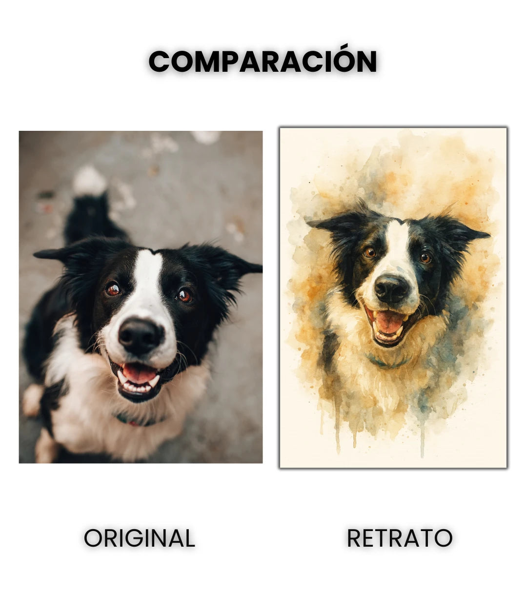 Retrato Enmarcado Mascota Personalizado Estilo Acuarela