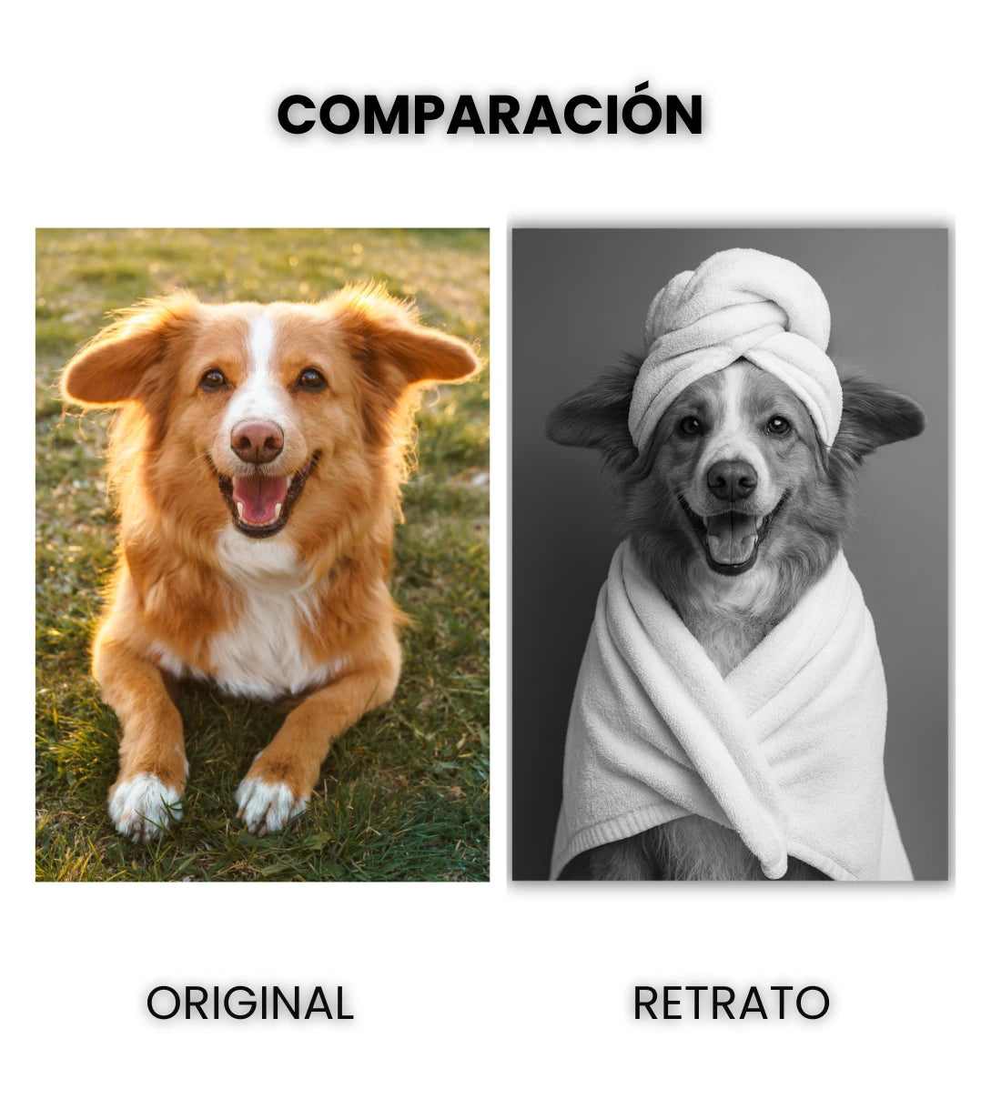 Retrato Enmarcado Mascota Decorativo para Baño – Toalla o Patito de Hule