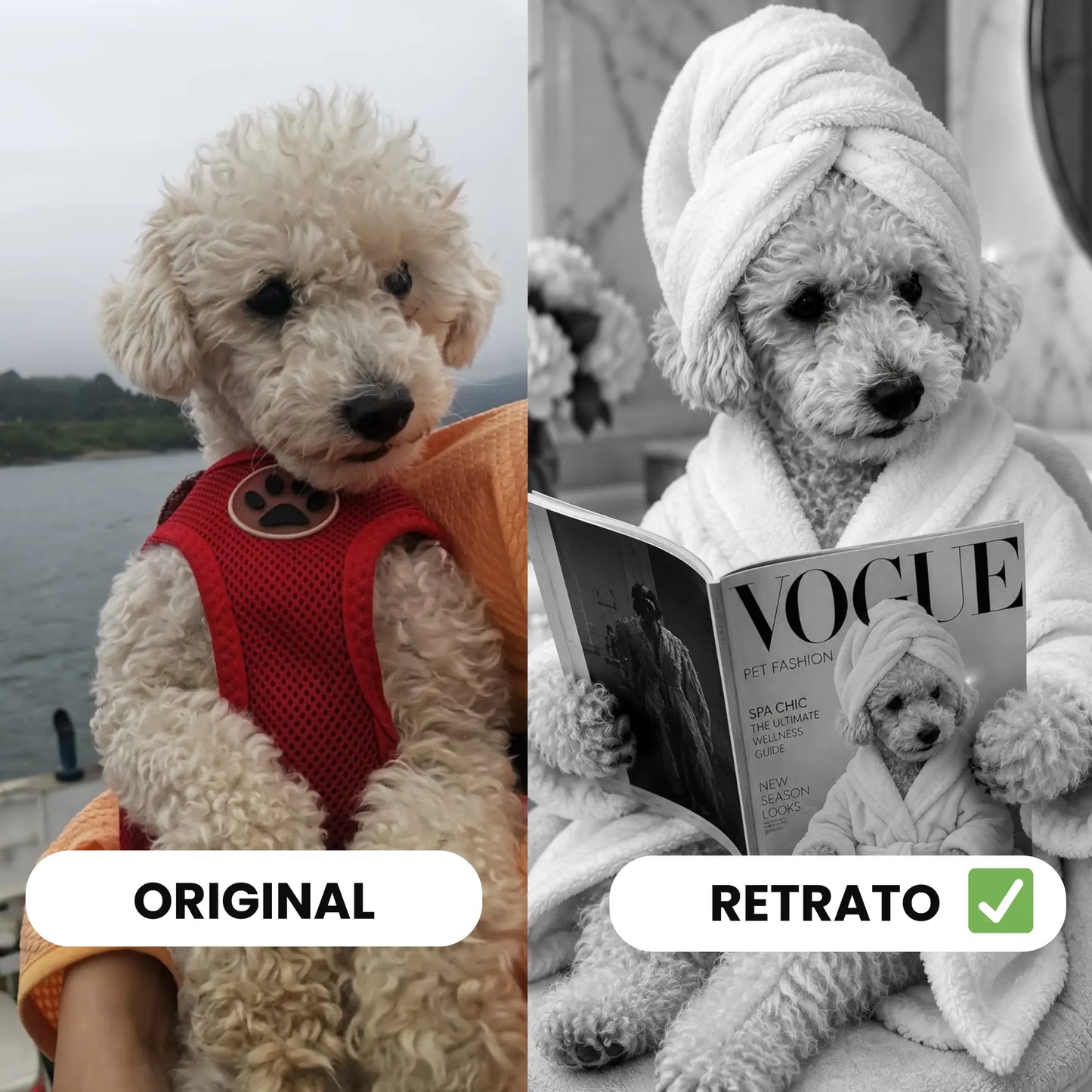 Cuadro Mascota Lectura Vogue Personalizado